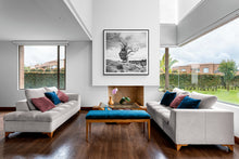 Load image into Gallery viewer, Banks Peninsula Tree black and white fine art print displayed in a light contemporary interior