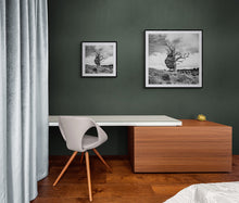 Load image into Gallery viewer, Banks Peninsula Tree limited edition black and white print displayed in a dark interior 