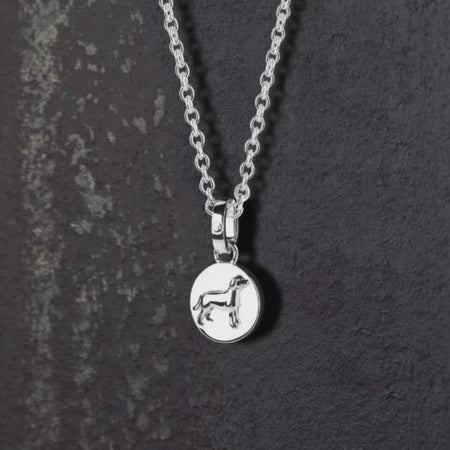 Dog Pendant Necklace - Evolve