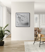 Load image into Gallery viewer, Framed Tree Branches black and white landscape print framed in black displayed in a light contemporary interior.