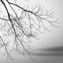 Load image into Gallery viewer, Tree Branches, black and white photograph by Stewart Nimmo looking through bare tree branches towards misty Lake Camp, Canterbury, New Zealand.