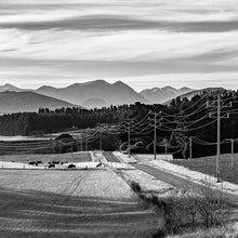 Load image into Gallery viewer,  Fine art photographic print by Stewart Nimmo of power lines in black and white 