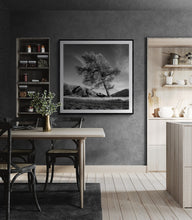 Load image into Gallery viewer, Framed Leaning Tree black and white fine art print displayed in a contemporary kitchen and dining area.