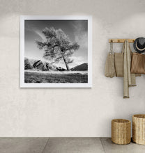 Load image into Gallery viewer, Framed Leaning Tree black and white landscape print displayed in a neutral hallway with a wooden coat rack.