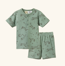 Load image into Gallery viewer, Nature Baby, New Zealand, Sustainable, Organic Cotton, Baby Clothing, Kids Clothing, Dream Tigers, Lagoon, Short Sleeve Pyjamas