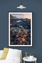 Load image into Gallery viewer, Vertical West Coast New Zealand coastal photography featuring orange starfish and rocks framed in black