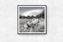 Load image into Gallery viewer, Cold Comfort Lake Pearson black and white fine art print framed