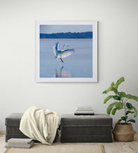 Load image into Gallery viewer, White Heron Landing | Kōtuku