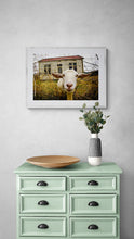 Load image into Gallery viewer, Seddonville Goat fine art print displayed above a green cabinet in a home interior