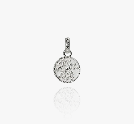 Tui Coin Pendant Charm (Admired)