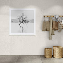 Load image into Gallery viewer, Framed in white a Black and white photograph of the Wanaka Tree with birds reflected in Lake Wanaka New Zealand in a modern light interior