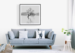 Stewart Nimmo, Nimmo Photography, Limited Edition, Photography, Fine Art, Print, New Zealand, NZ, Landscape, Scenery, Black and White, BW, Wanaka, Wanaka Tree, Otago, Birds, Silhouette, 