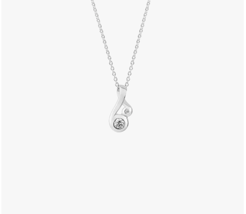 Silver Necklace, Silver, NZ, Evolve, Fern