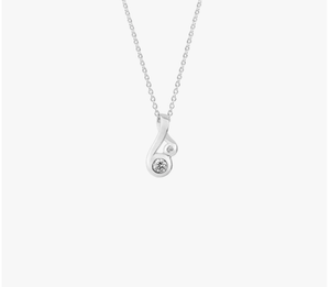 Silver Necklace, Silver, NZ, Evolve, Fern