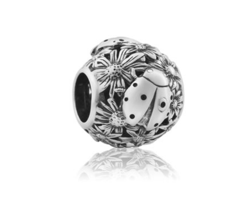 New Zealand Charm, Evolve, Ladybird, Luck, Sterling Silver, Designed in NZ,  local, 