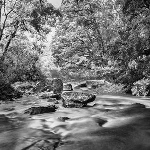 Stewart Nimmo, Nimmo Photography, Limited Edition, Photography, Fine Art, Print, New Zealand, NZ, Landscape, Scenery, Black and White, BW, Clinton River, Milford Track, Fiordland, Great Walk, NZ Great walk, Hike, Tramp,
