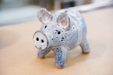 Load image into Gallery viewer, Pottery Pig, Handmade in New ZealandPottery Piggy Bank, Handmade in New Zealand