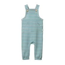 Load image into Gallery viewer, Nature Baby, New Zealand, Kids clothes, Organic Cotton, Ethically made, Sustainable,  Tobi, Overalls,