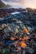 Load image into Gallery viewer, Orange starfish at Motukiekie Beach, West Coast New Zealand landscape photography