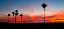 Load image into Gallery viewer, Barrytown nikau palms silhouetted against a vivid orange and pink West Coast sunset, New Zealand landscape photography by Stewart Nimmo