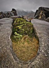 Load image into Gallery viewer, Moss and alpine plants amongst limestone rocks at Castle Hill, Canterbury New Zealand