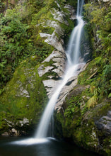 Load image into Gallery viewer, Dorothy Falls surrounded by native bush near Lake Kaniere, West Coast New Zealand
